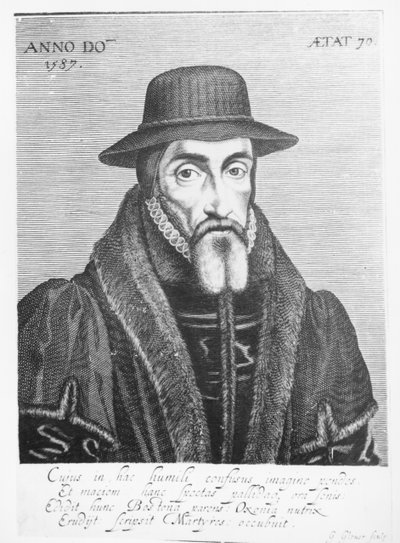 Portrait of John Foxe (1516-87) English Martyrologist by George Glover